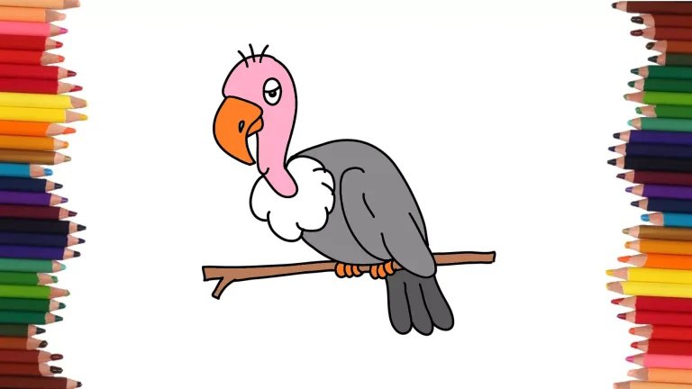 COMO DIBUJAR UN BUITRE