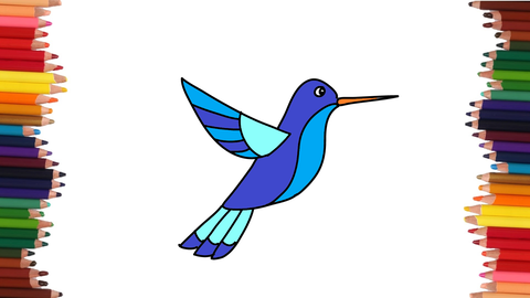 COMO DIBUJAR UN COLIBRI
