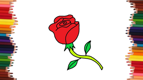 COMO DIBUJAR UNA ROSA