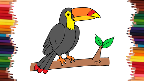 COMO DIBUJAR UN TUCAN