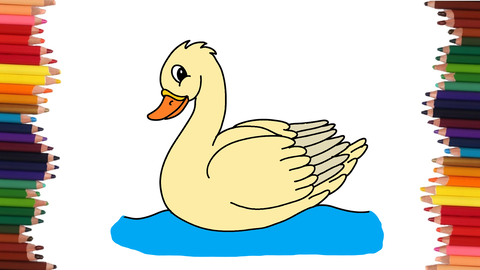 COMO DIBUJAR UN CISNE