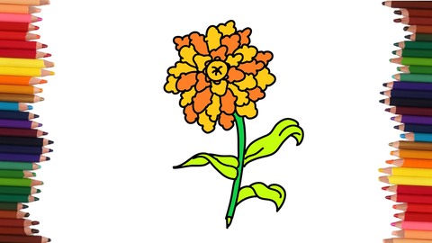 COMO DIBUJAR UNA FLOR DE CEMPASÚCHIL