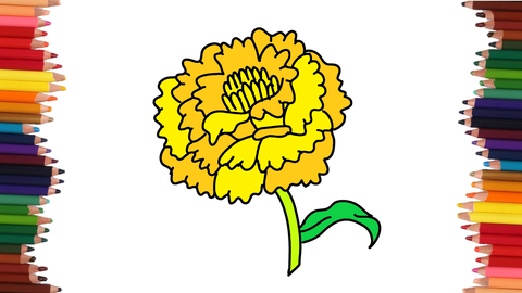 COMO DIBUJAR UNA FLOR DE CEMPASÚCHIL